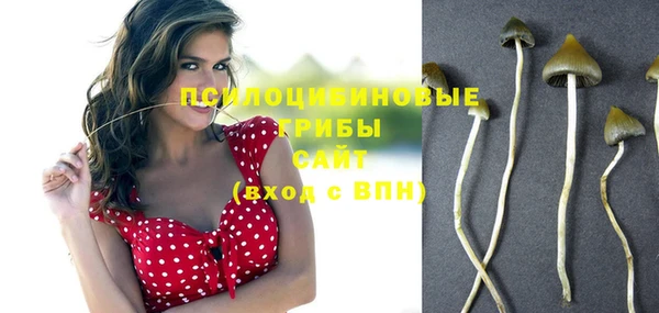 МДПВ Рославль