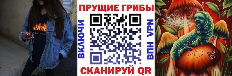 Псилоцибиновые грибы Magic Shrooms  Сибай 