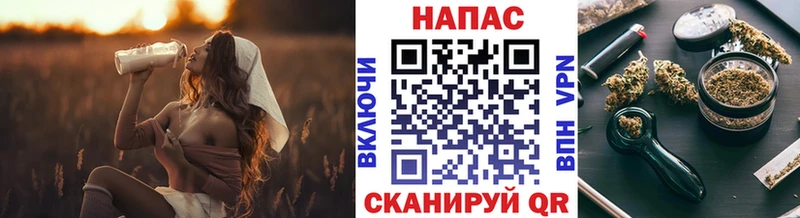 Каннабис индика  OMG как войти  Сибай 